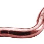 Chapeau de gendarme - Femelle-femelle - raccord cuivre à souder